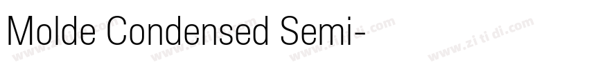 Molde Condensed Semi字体转换